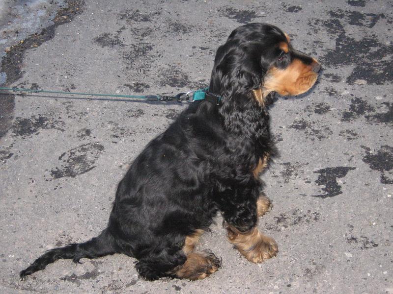 c Arny - 10.1.2010.jpg